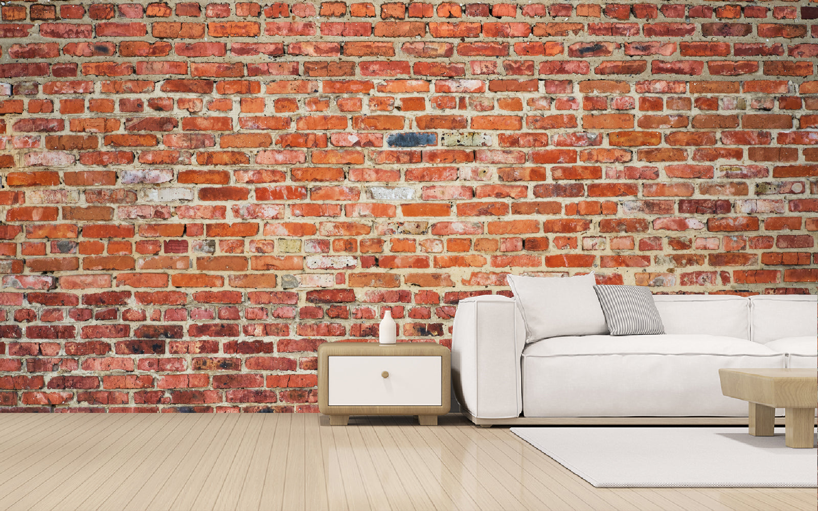 Ottawa Made Living Room Murals